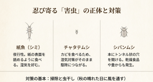 本につく害虫（紙魚・チャタテムシ・シバンムシ）の特徴と対策